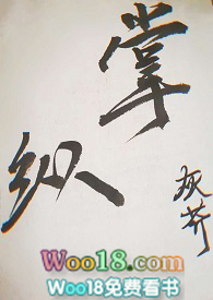 掌门女婿